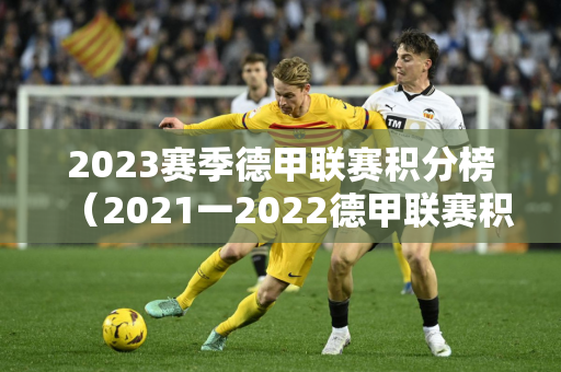 2023赛季德甲联赛积分榜（2021一2022德甲联赛积分榜）